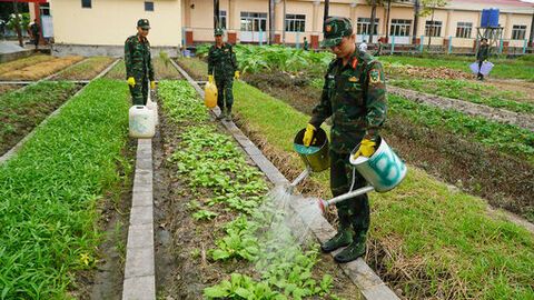 Từ bó rau xanh đến hũ gạo nghĩa tình