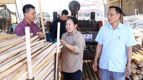 Phát triển nguồn từ những hạt nhân cơ sở