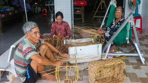 Thu nhập từ đan lục bình