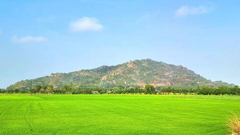 Du xuân trên đỉnh núi Sam