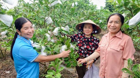 Phụ nữ Giồng Riềng phát triển kinh tế, vun đắp hạnh phúc gia đình