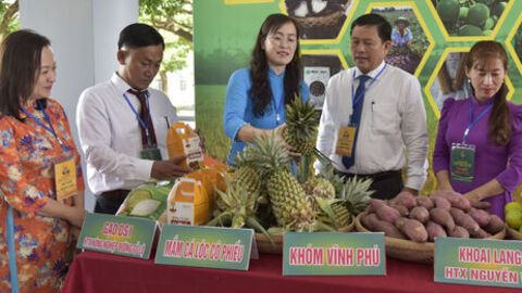 Phát huy sức mạnh nông dân trong giai đoạn mới