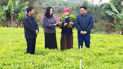 Bước chuyển từ nghị quyết chuyên đề