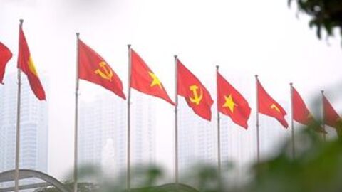 An Giang: Xử lý nghiêm tình trạng sử dụng sai mẫu cờ Đảng và biểu tượng Búa Liềm