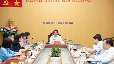 Tập đoàn Vingroup làm việc với UBND tỉnh An Giang về xây dựng Đề án chuyển đổi xanh