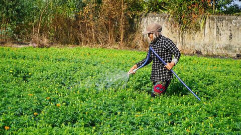 Tết sớm ở Hòa Điền