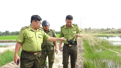 Ra quân xử lý hành vi săn bắt chim trái phép tại xã Bình An