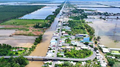 Đi qua cánh đồng Tứ giác Long Xuyên