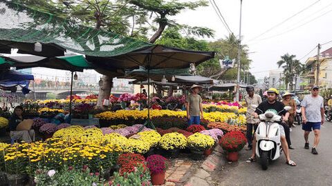 Nhộn nhịp chợ hoa xuân