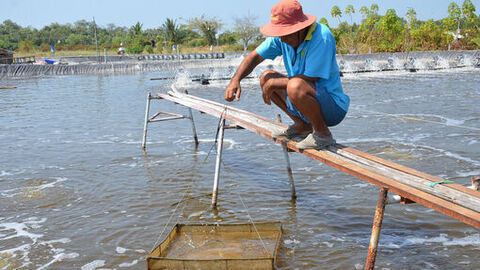 Phát triển bền vững ngành thủy sản