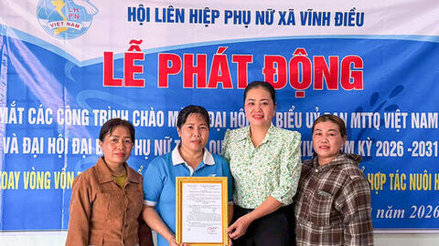Góp vốn xoay vòng mua bảo hiểm y tế