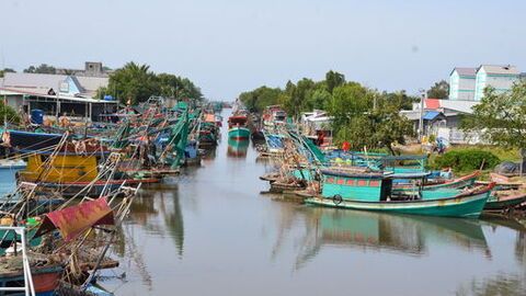Phân công thành viên Ban Chỉ đạo về IUU tỉnh An Giang theo dõi quản lý 880 tàu cá không đủ điều kiện hoạt động 