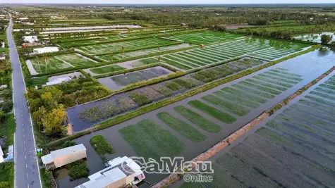 Khánh Lâm hiện thực hoá nghị quyết