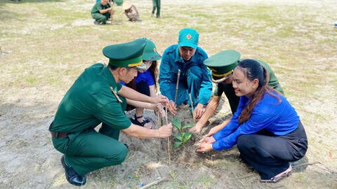 Trồng 150 cây bàng vuông trên xã đảo Tiên Hải 