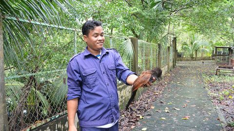 Chung tay bảo tồn động vật hoang dã