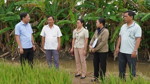 Xã Tân Hội: Giá trị sản xuất một số ngành chủ yếu ước đạt 1.975 tỷ đồng