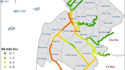 An Giang cảnh báo mặn xâm nhập có xu thế tăng