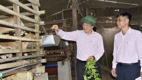 Tổng giám đốc Ngân hàng Chính sách xã hội làm việc tại xã Thạnh Lộc