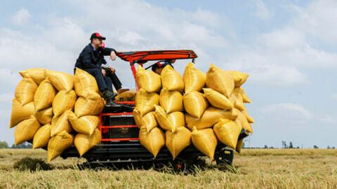 Kinh tế hợp tác vận hạnh hiệu quả