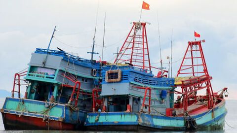 Ra biển cùng kiểm ngư