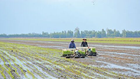 Đánh thức tứ giác Long Xuyên