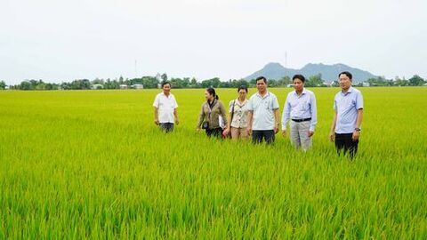 Xã Tân Hội thực hiện đạt và vượt 4 chỉ tiêu nghị quyết 