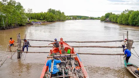 Xã Đất Mũi ra quân giải toả hàng đáy, hàng đăng khai thác thuỷ sản trái phép