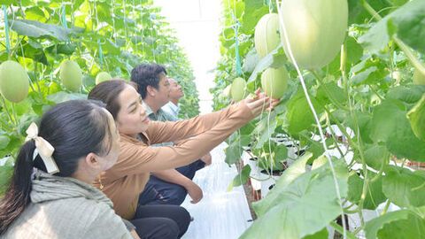 Xã Sơn Kiên thu ngân sách đạt 130% chỉ tiêu nghị quyết