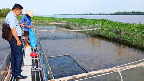 Nâng cao thu nhập nhờ thủy sản