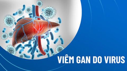 Phòng bệnh viêm gan siêu vi