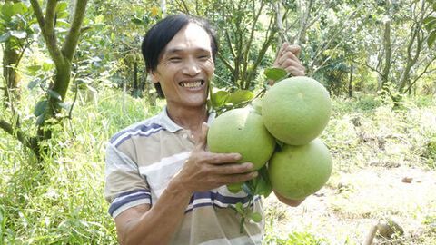 Phát triển nông nghiệp đa dạng 