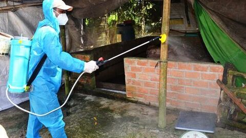 Tăng cường giải pháp phòng, chống, khống chế dịch tả heo châu Phi