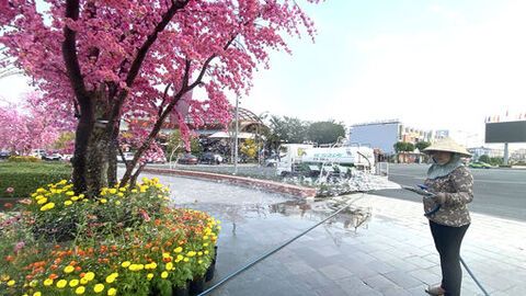 Dọn phố đón xuân