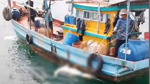 Phát hiện một thi thể nam trôi trên biển khu vực Xẻo Nhàu