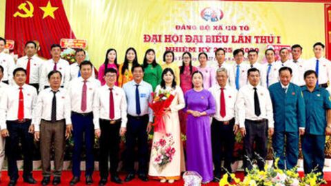 Đại hội Đại biểu Đảng bộ xã Cô Tô nhiệm kỳ 2025 - 2030