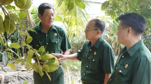 Xứng danh “Bộ đội Cụ Hồ”
