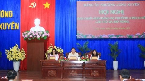 Hội nghị Ban Chấp hành Đảng bộ các địa phương