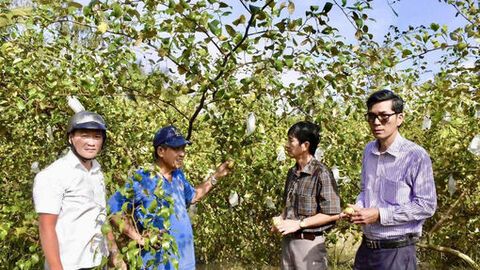 Giữa mùa mưa bão, tình Đảng ấm lòng dân