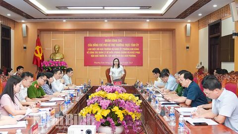 Đồng chí Phó Bí thư Thường trực Tỉnh ủy Đinh Thị Lụa làm việc với Ban Thường vụ Đảng ủy phường Kim Bảng