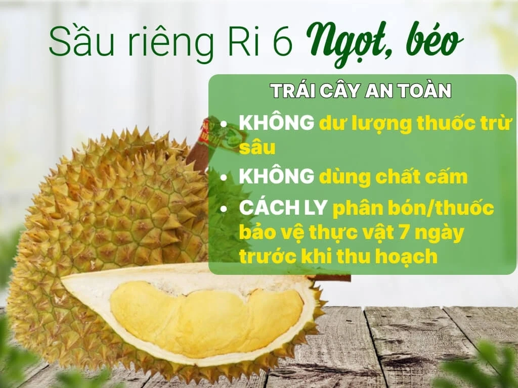 Giá cả thị trường ngày 5/6/2026