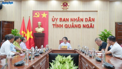Xử lý rừng trồng, phục vụ dự án Khu đô thị số 1, xã Măng Đen