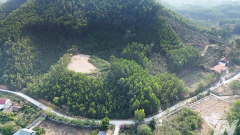 Từ cánh rừng Khuôn Mánh năm ấy