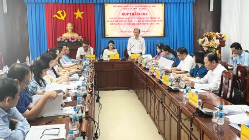 Ban Văn hóa - Xã hội HĐND thẩm tra các dự thảo nghị quyết dự kiến trình tại kỳ họp cuối năm của HĐND thành phố 