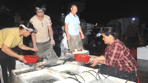 Lộ trình truy xuất nguồn gốc nông, lâm, thủy sản đến năm 2035