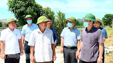 Kiểm tra công tác phòng, chống dịch tả lợn châu Phi tại phường Yên Thắng và Yên Sơn