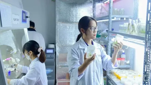 Chuẩn hóa tổ chức, hoạt động Quỹ khoa học, công nghệ và đổi mới sáng tạo từ Trung ương đến địa phương 