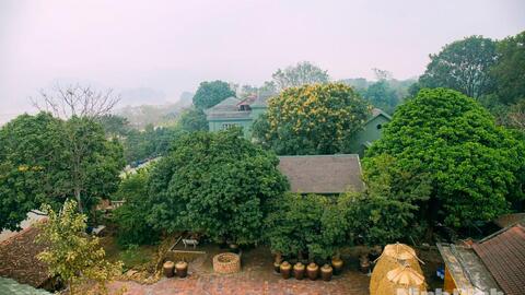 Hợp tác xã Sinh Dược: Khơi dậy giá trị dược liệu bản địa