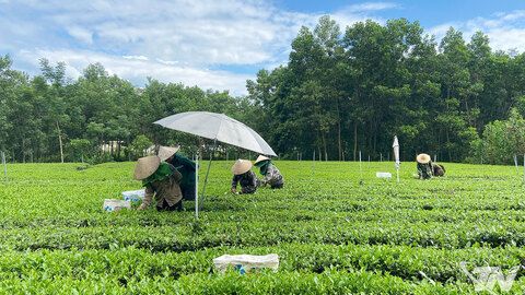 Tràng Xá nỗ lực cho những mục tiêu lớn