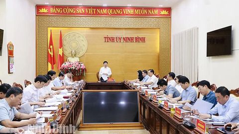 Ban Thường vụ Tỉnh ủy cho ý kiến về công tác chuẩn bị Đại hội đại biểu Đảng bộ tỉnh lần thứ I, nhiệm kỳ 2025-2030