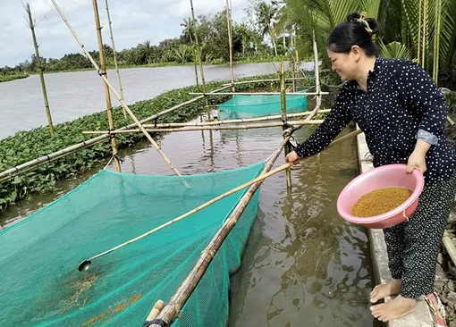 Đồng hành cùng phụ nữ và trẻ em hoàn cảnh khó khăn 